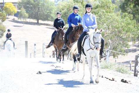 horse riding templewood inglewood.